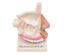 Cavidade Nasal SD-5042 - comprar online