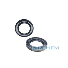 Retentor da Flange do Selo Denso 6c500c