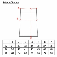 Pollera Charmy en internet