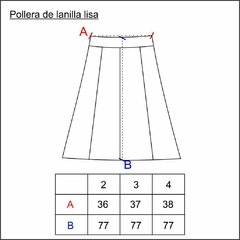 Pollera de lanilla lisa - ZAKTZNIUT