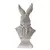 Busto conejo en internet