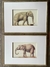 Set 2 Cuadros Elefantes