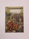 Excelsior - Biblioteca Marvel - Daredevil N°17