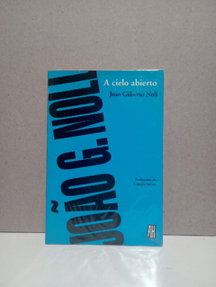 A cielo abierto - João Gilberto Noll