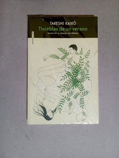 Tinieblas de un verano - Takeshi Kaiko