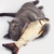 Peluche de Pescado Pez para Gato Perro Mascota Juguete con Catnip Realista - comprar en línea