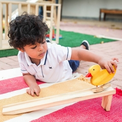 Pato com Rampa - Brinquedo Educativo com movimento