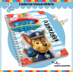 Caderno Universitário - TEMAS na internet