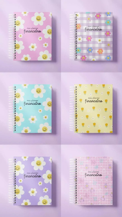 Planner financeiro Candy - comprar online