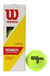 Pelotas De Tenis Championship Pressureless x 3 Wilson