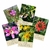 Cards Florais da Terra 32 unidades