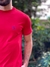 Camiseta Ralph Lauren Vermelho Small Pony Azul na internet