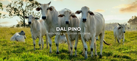 Carrusel Dal Pino - Tecnologia em corte de carne