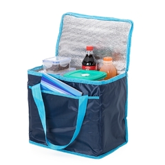 Bolsa Térmica 36 Litros praia. - jspresentes| Loja Online, Lugar de Comprar Barato é Aqui!