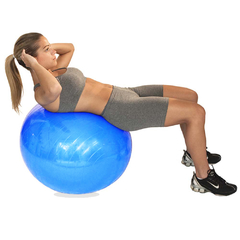 Bola de Pilates 65cm C/ Bomba - Acte - comprar online