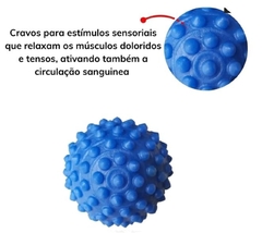 Bola Cravo p/ Fisioterapia Borracha Scalibu na internet