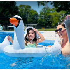 Inflable Cisne 80cm x 80cm