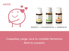 Aromatizadores - Línea FabiAkitsu Brumas - Maletín - tienda online