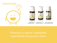 Aromatizadores - Línea FabiAkitsu Brumas - Maletín - comprar online