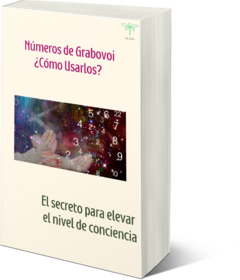 Números de Grabovoi - ¿Cómo usarlos? - Libro para iniciarse en ésta técnica. - comprar online