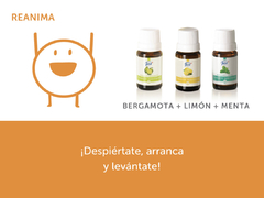 Aromatizadores - Línea FabiAkitsu Brumas - Maletín - tienda online