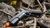 Réplica Full Metal 1911 Airsoft GBB WE-Tech (Negra) - tienda en línea