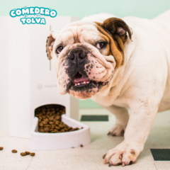 COMEDERO TOLVA TONIPETS LARGE (Para perros medianos y/o grandes) en internet