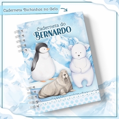 Caderneta de Vacinas - Amiguinhos do Gelo