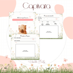 Livro do Bebê - Capivara - comprar online