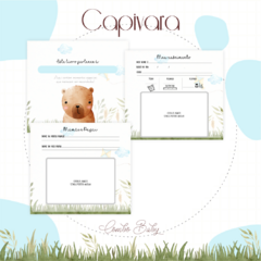 Livro do Bebê - Capivara Menino - comprar online