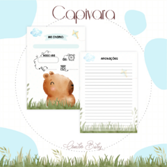 Caderneta de Vacinas - Capivara Menino - comprar online