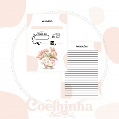 Caderneta de Vacinas - Coelhinha - comprar online