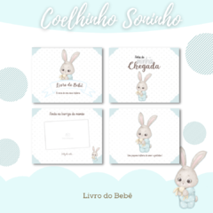 Livro do Bebê - Coelhinho - comprar online