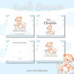 Livro do Bebê - Gêmeos Meninos - Ursinho Brinquedo - comprar online