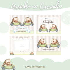 Livro do Bebê - Gêmeos Meninos - Ursinho - comprar online