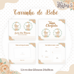 Livro do Bebê - Gêmeas Carrinho de Bebê - comprar online