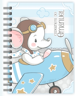Caderneta de Vacinas - Elefante Aviador