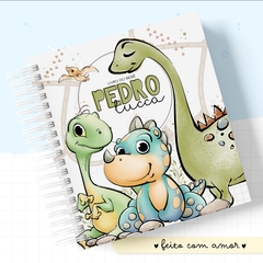 Livro do Bebê - Dinossauro Menino
