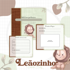 Livro do Bebê - Leãozinho - comprar online