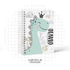 Caderneta de Vacinas - Dinossauro Menino na internet