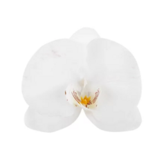 Porta-guardanapo orquídea branca