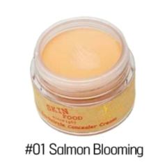 Salmon Dark Circle Concealer Cream SKINFOOD en internet