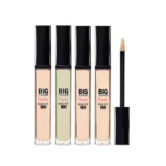 Big Cover Skin Fit Concealer PRO ETUDE en internet