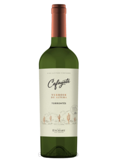 Cafayate Terroir De Altura Torrontes