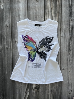 MUSCULOSA BUTERFLY