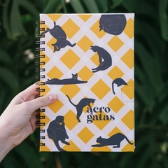 caderno acrogatas escolar compacto