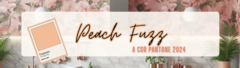Banner da categoria Peach Fuzz Pantone 2024