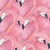 SUSS047-Flamingos na internet