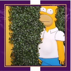 Quadro meme Homer Simpson no arbusto na internet