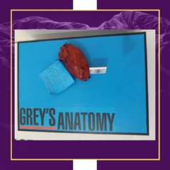 Caixa Grey's Anatomy v1 - comprar online